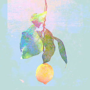 李毅动态第二十一期最新消息
